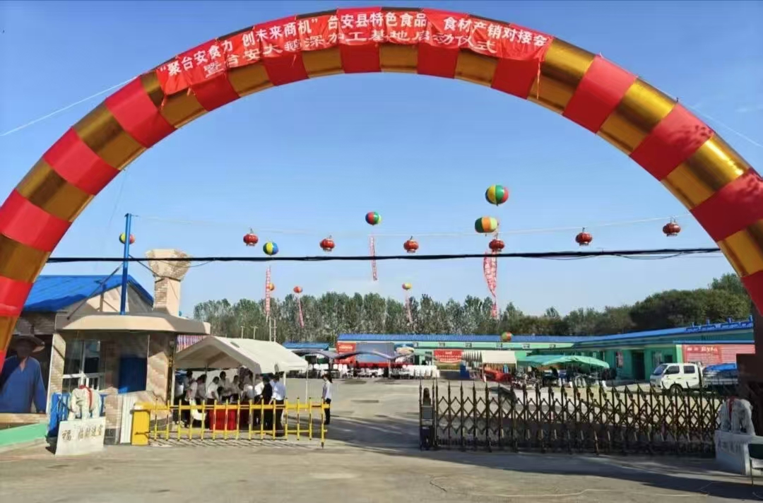 110❤️🌸110❤️🌸110🌼🌼