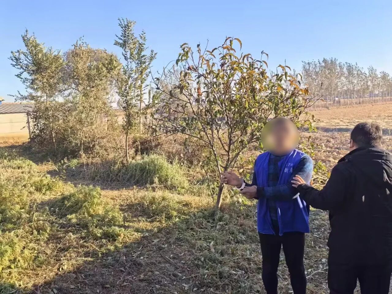 微信图片_2025-11-14_091527_828