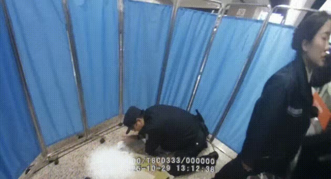 80de7e32bdea1c82da025e1dc4f1e382 80de7e32bdea1c82da025e1dc4f1e382