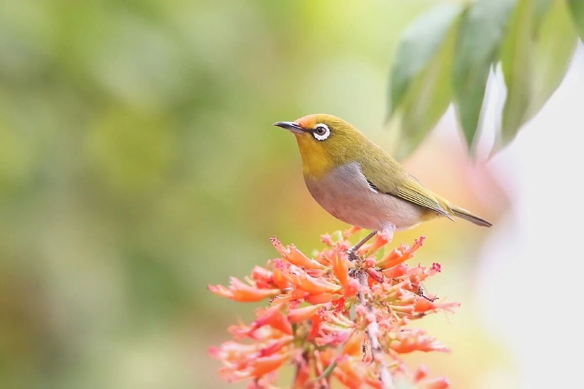 微信图片_2025-11-14_091521_447